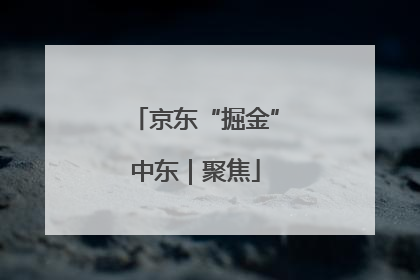 京东“掘金”中东｜聚焦