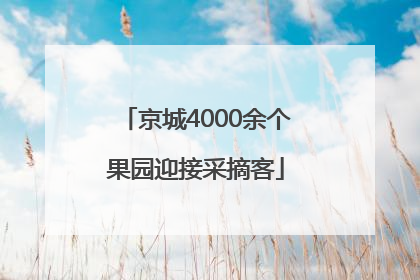 京城4000余个果园迎接采摘客