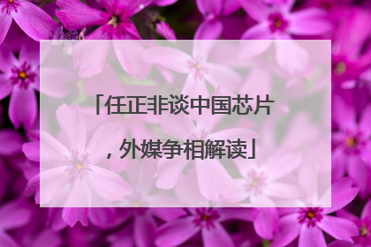 任正非谈中国芯片，外媒争相解读