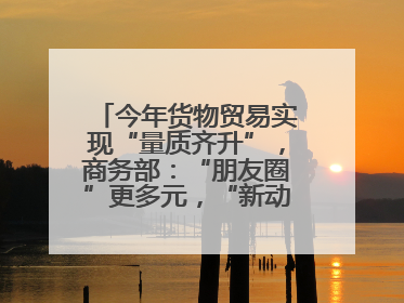 今年货物贸易实现“量质齐升”，商务部：“朋友圈”更多元，“新动能”加快集聚