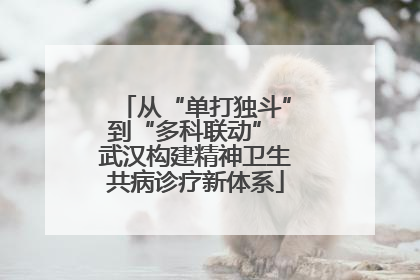 从“单打独斗”到“多科联动” 武汉构建精神卫生共病诊疗新体系