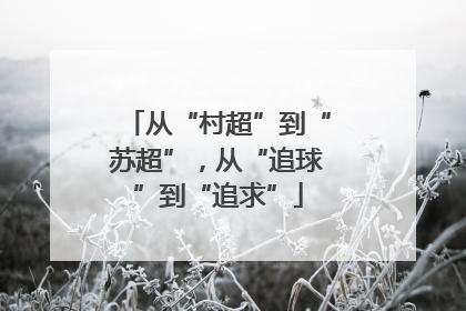 从“村超”到“苏超”，从“追球”到“追求”
