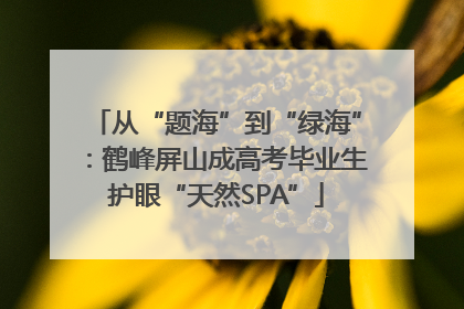 从“题海”到“绿海”：鹤峰屏山成高考毕业生护眼“天然SPA”