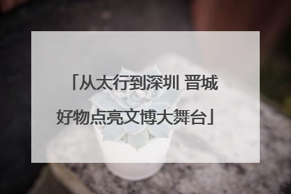 从太行到深圳 晋城好物点亮文博大舞台
