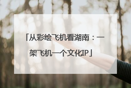从彩绘飞机看湖南：一架飞机一个文化IP