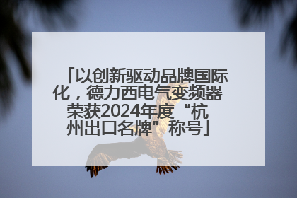 以创新驱动品牌国际化，德力西电气变频器荣获2024年度“杭州出口名牌”称号