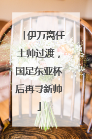 伊万离任土帅过渡，国足东亚杯后再寻新帅