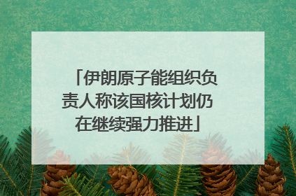 伊朗原子能组织负责人称该国核计划仍在继续强力推进
