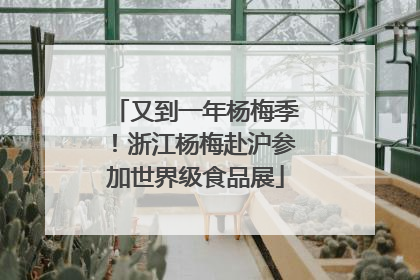又到一年杨梅季！浙江杨梅赴沪参加世界级食品展