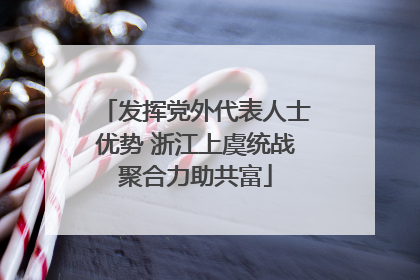 发挥党外代表人士优势 浙江上虞统战聚合力助共富