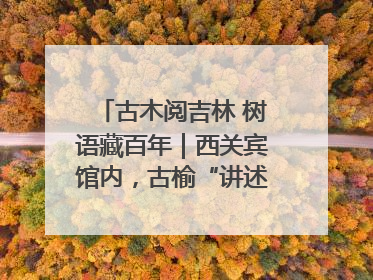 古木阅吉林 树语藏百年｜西关宾馆内，古榆“讲述”时光絮语