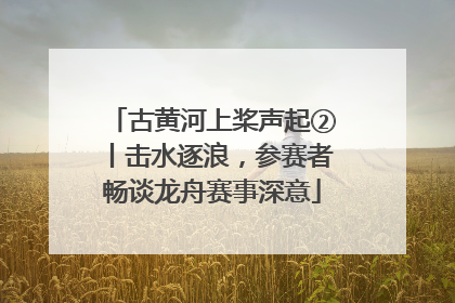 古黄河上桨声起②丨击水逐浪，参赛者畅谈龙舟赛事深意