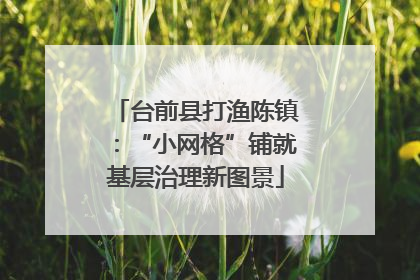 台前县打渔陈镇：“小网格”铺就基层治理新图景