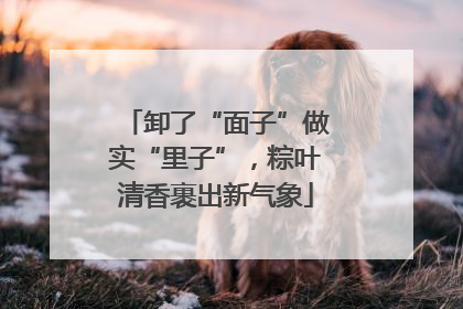 卸了“面子”做实“里子”，粽叶清香裹出新气象