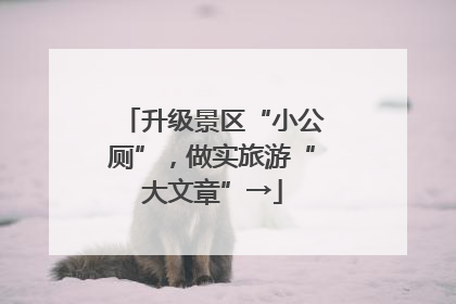 升级景区“小公厕”，做实旅游“大文章”→