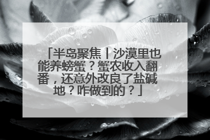 半岛聚焦丨沙漠里也能养螃蟹？蟹农收入翻番，还意外改良了盐碱地？咋做到的？