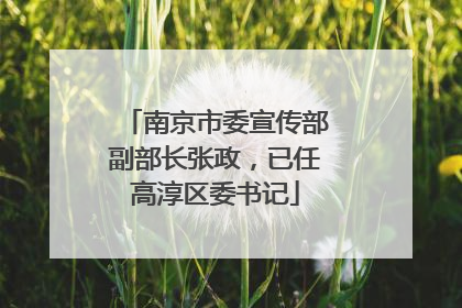南京市委宣传部副部长张政，已任高淳区委书记
