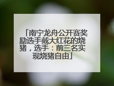 南宁龙舟公开赛奖励选手戴大红花的烧猪，选手：前三名实现烧猪自由