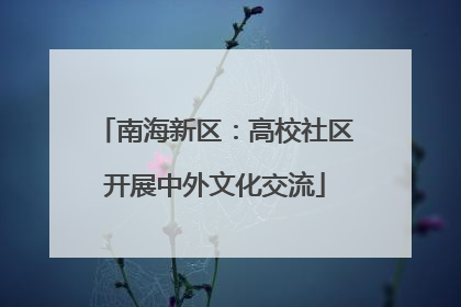南海新区：高校社区开展中外文化交流