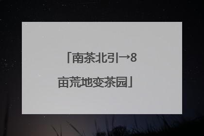 南茶北引→8亩荒地变茶园