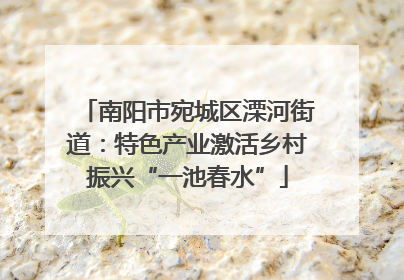 南阳市宛城区溧河街道：特色产业激活乡村振兴“一池春水”