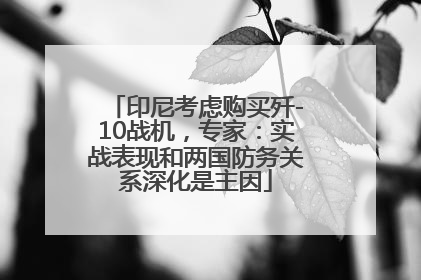 印尼考虑购买歼-10战机，专家：实战表现和两国防务关系深化是主因