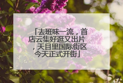 去班味一流，首店云集好逛又出片，天目里国际街区今天正式开街