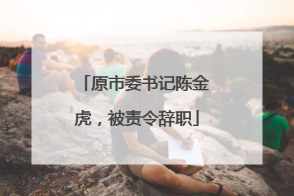 原市委书记陈金虎，被责令辞职