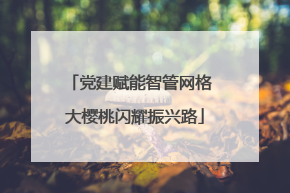 党建赋能智管网格 大樱桃闪耀振兴路