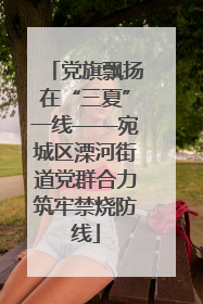党旗飘扬在“三夏”一线——宛城区溧河街道党群合力筑牢禁烧防线