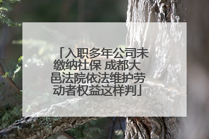 入职多年公司未缴纳社保 成都大邑法院依法维护劳动者权益这样判