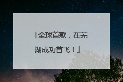 全球首款，在芜湖成功首飞！