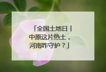全国土地日丨中原这片热土，河南咋守护？