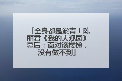 全身都是淤青！陈丽君《我的大观园》幕后：面对滚楼梯，没有做不到