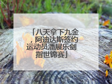 八天拿下九金，阿迪达斯签约运动员潘展乐剑指世锦赛
