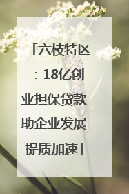 六枝特区：18亿创业担保贷款助企业发展提质加速