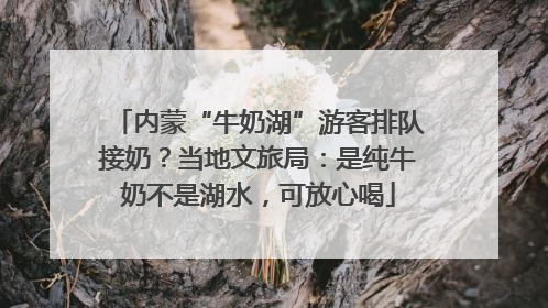 内蒙“牛奶湖”游客排队接奶？当地文旅局：是纯牛奶不是湖水，可放心喝