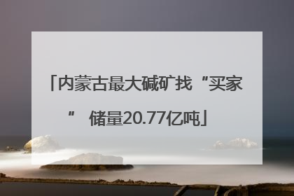 内蒙古最大碱矿找“买家” 储量20.77亿吨