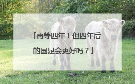 再等四年！但四年后的国足会更好吗？