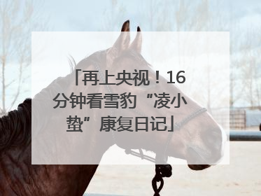 再上央视！16分钟看雪豹“凌小蛰”康复日记