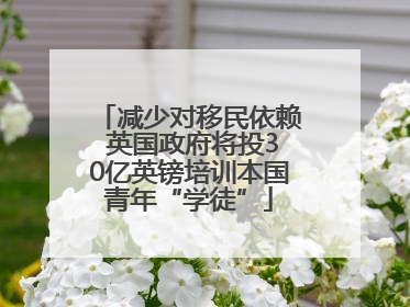 减少对移民依赖 英国政府将投30亿英镑培训本国青年“学徒”