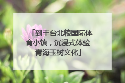 到丰台北粮国际体育小镇，沉浸式体验青海玉树文化