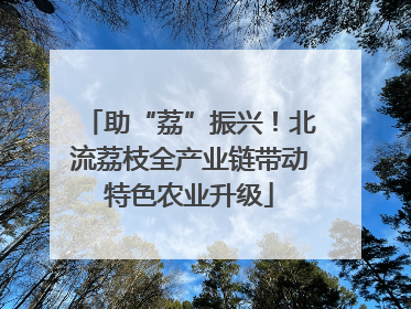 助“荔”振兴！北流荔枝全产业链带动特色农业升级