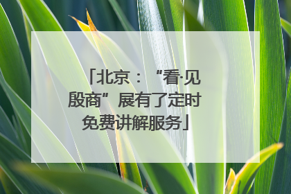 北京：“看·见殷商”展有了定时免费讲解服务