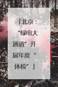 北京：“绿电大通道”开展年度“体检”
