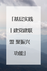 基层实践丨建党建联盟 聚振兴功能