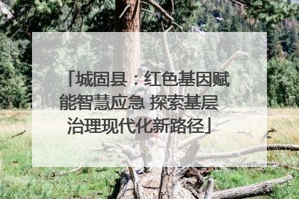 城固县：红色基因赋能智慧应急 探索基层治理现代化新路径