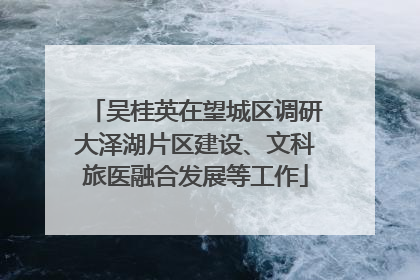吴桂英在望城区调研大泽湖片区建设、文科旅医融合发展等工作