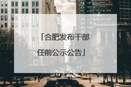 合肥发布干部任前公示公告