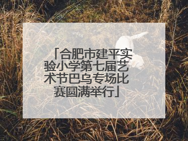 合肥市建平实验小学第七届艺术节巴乌专场比赛圆满举行